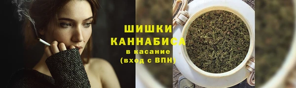 шишки Зеленокумск