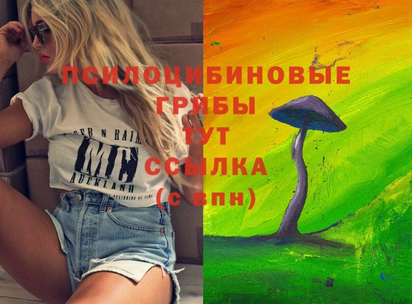 крисы Зерноград