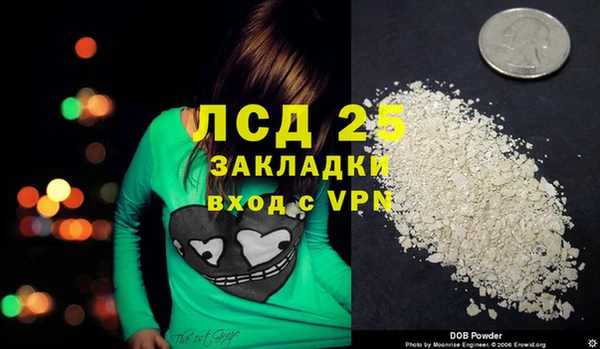 ПСИЛОЦИБИНОВЫЕ ГРИБЫ Инта