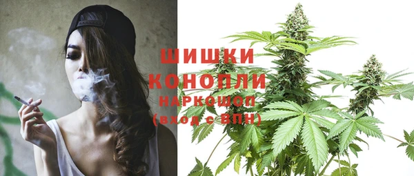 крисы Зерноград