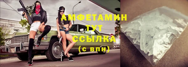 ПСИЛОЦИБИНОВЫЕ ГРИБЫ Инта