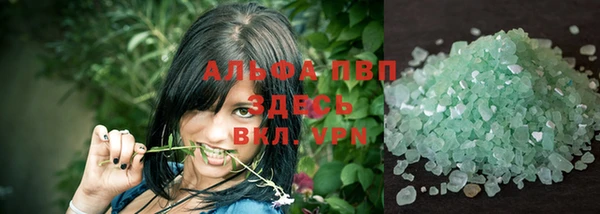 крисы Зерноград